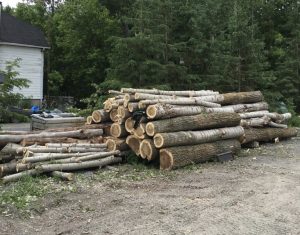 Déboisement à petite échelle