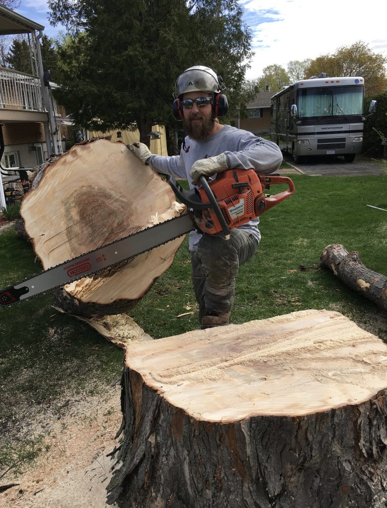 Travaux d'arboriculture en hauteur